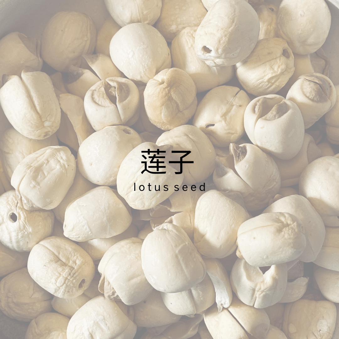 Lotus Seeds