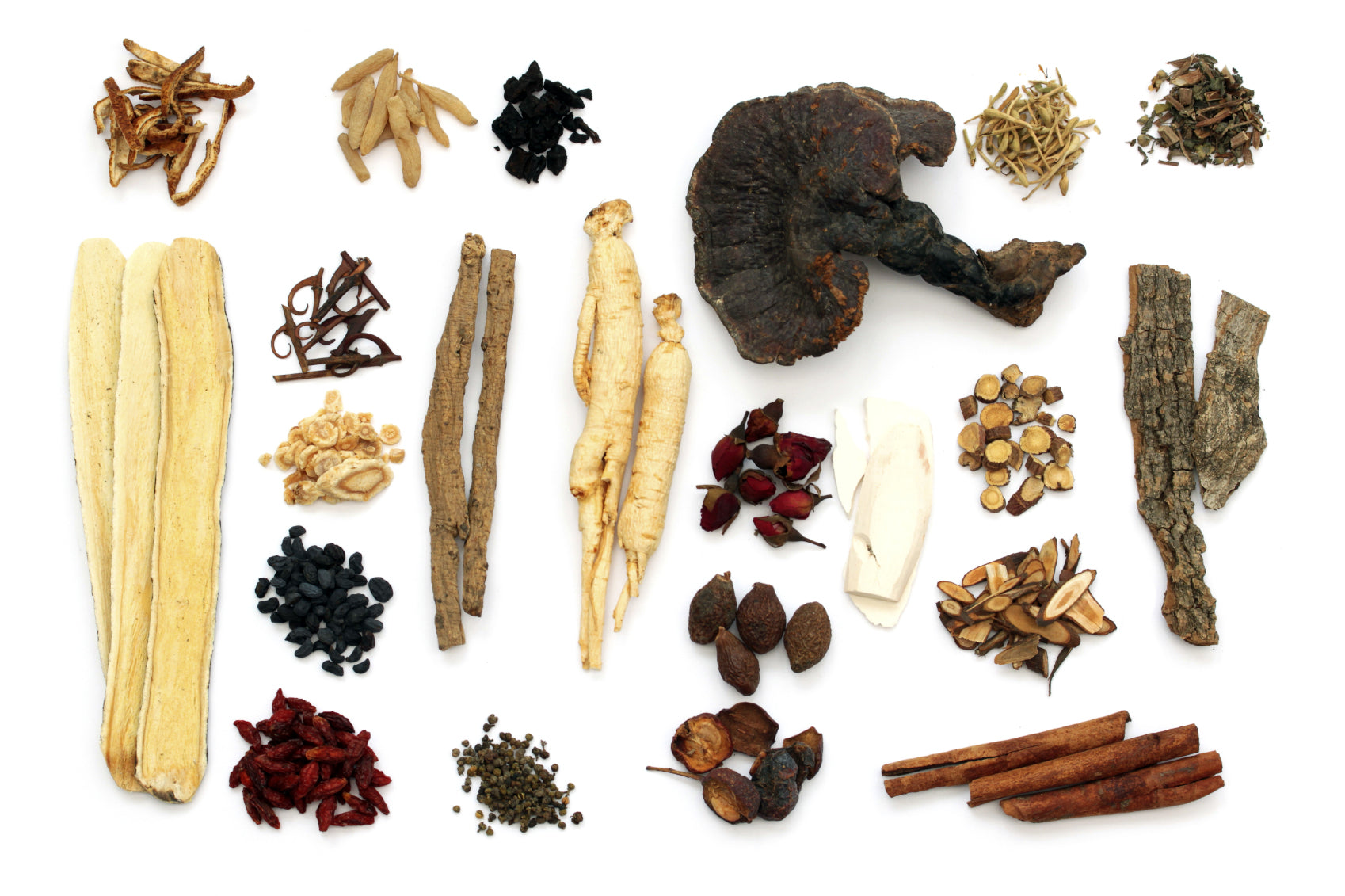 traditional chinese medicine, modern chinese medicine, tcm practitioner, chinese medicine practitioner, traditional chinese medicine herbs, ancient chinese medicine, tcm herbs, tcm medicine, traditional chinese medicine 