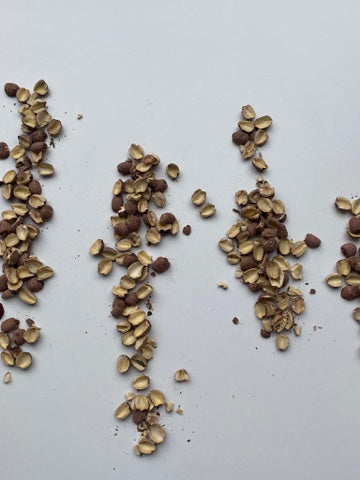 Lotus Seeds in TCM for Heart Health, Sleep & Calm